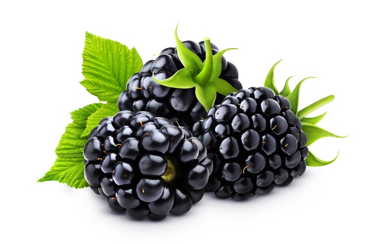 Blackberry