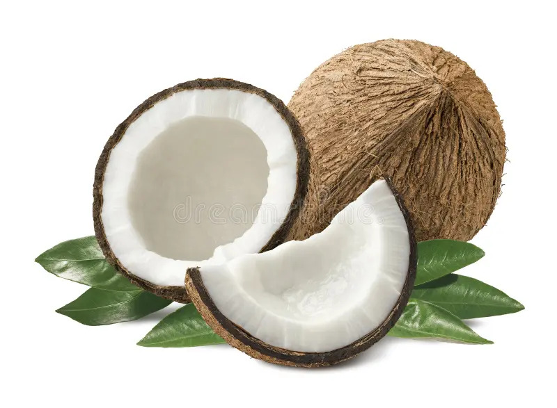 Coconut