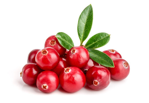 Cranberry