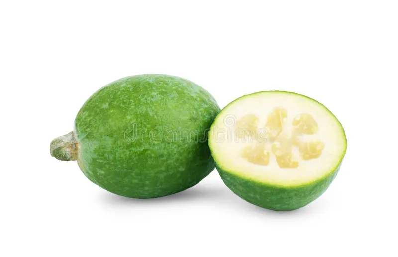 Feijoa