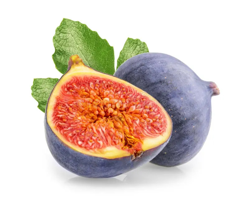 Fig