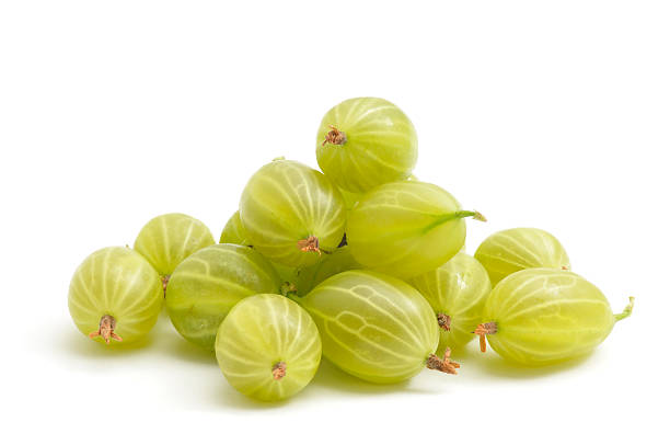 Gooseberry